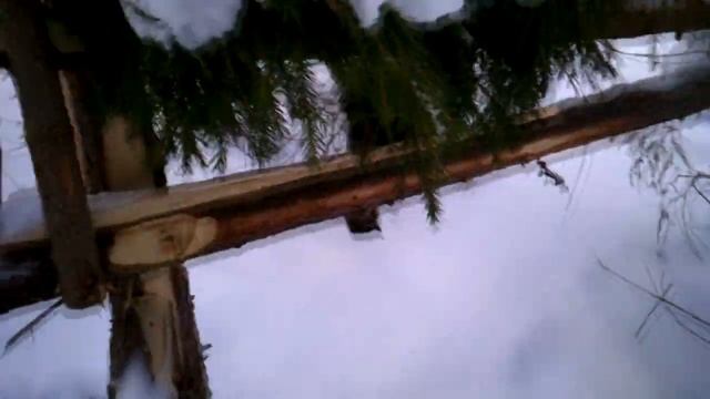 Какая  насторожка лучше для кулемки на соболя куницу