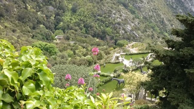 #невыездной Выехали из РФ с запретом. Эз. Франция. June 2020 #covid #Monaco смотреть онлайн