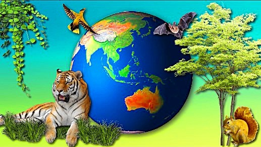 Растительный и животный мир Земли География 7 класс смотреть онлайн