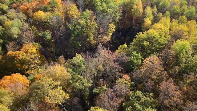 Пронский Лесной Каньон смотреть онлайн