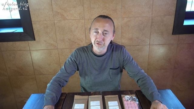 Клубничный Шоколад. Самый вкусный и полезный шоколад. Апельсиновый и Лимонный шоколад. Фролов Ю.А. смотреть онлайн