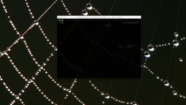 Spyder FAQ: How Do I Use Additional Packages If I Downloaded Spyder From The Standalone Installers?