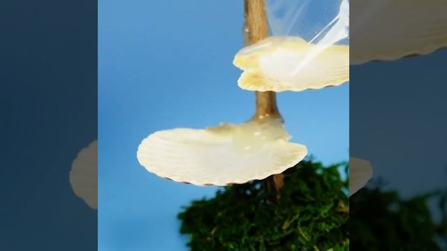 22 MERVEILLEUSES IDÉES DIY смотреть онлайн