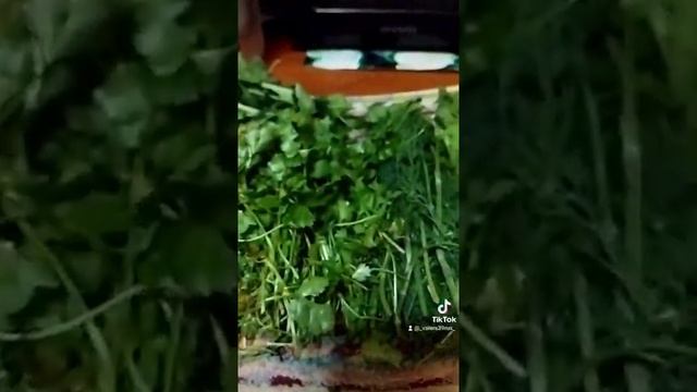 щавель-супчик