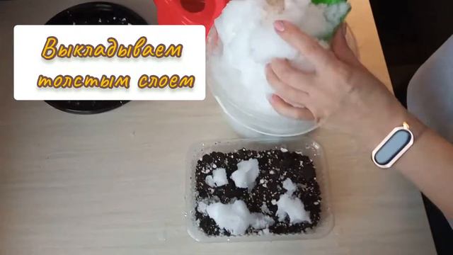 Петуния на снег, как сажать смотреть онлайн