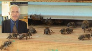 Профессор Кашковский В Г про сыворотку.mp4