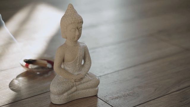 MINDFULNESS PARA PRINCIPIATES. Meditación guiada por psicóloga. Español neutro. смотреть онлайн