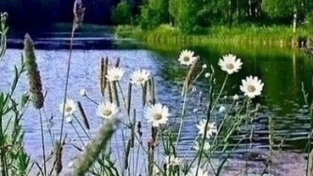 Лиля уже размечталась как будет хвастаться дорогим маникюром, как тут муж заявляет... смотреть онлайн