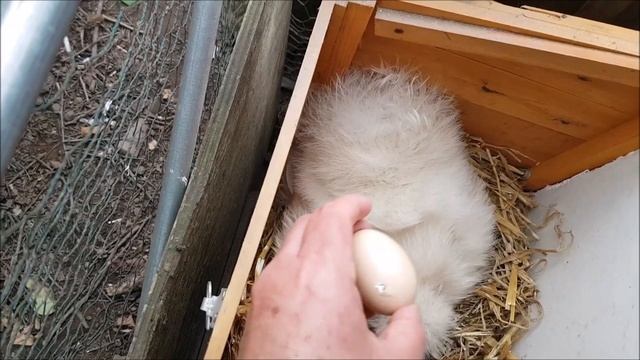 The hatch - part 1 смотреть онлайн