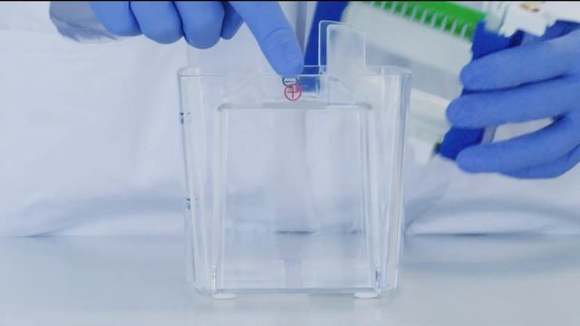 FastGene® PAGE Protein System Tutorial смотреть онлайн