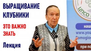 Все о выращивании клубники от Айтжановой С.Д. Выращивание земляники садовой.