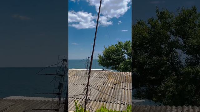 Виноград на даче у моря! смотреть онлайн