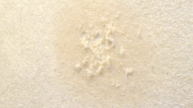 Жидкие обои . Ремонт жидких обоев . Мнение о них смотреть онлайн