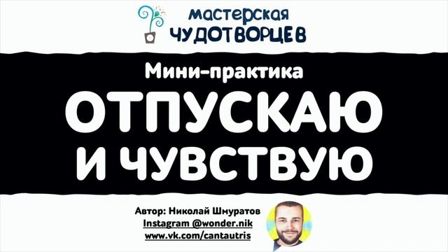 Мини практика "ОТПУСКАЮ И ЧУВСТВУЮ" от Николая Шмуратова смотреть онлайн
