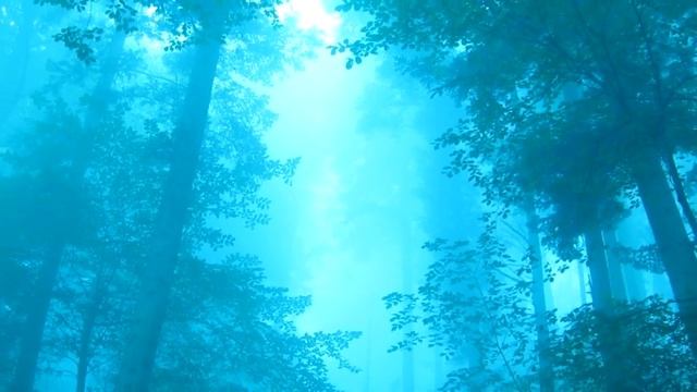 Сергей Есенин "Вижу сон. Дорога чёрная..." песня Марины Мудрук смотреть онлайн