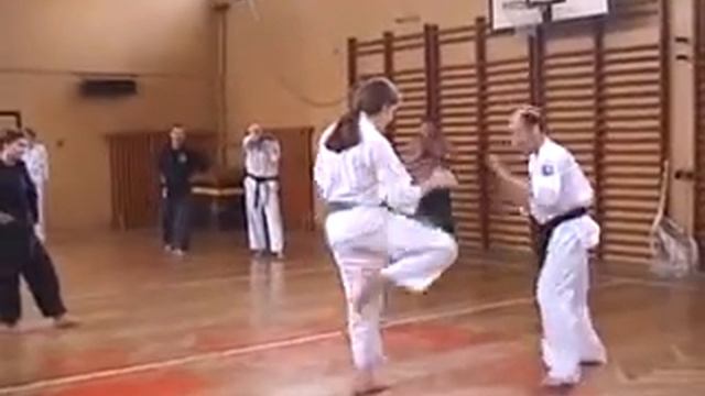 Seminar with Sensei Artur- Shin ai do Karate смотреть онлайн