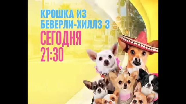 крошка из Беверли Хиллз сегодня в 21:30 смотреть онлайн