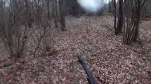 Сайга 20К УБОЙНАЯ СИЛА!!!