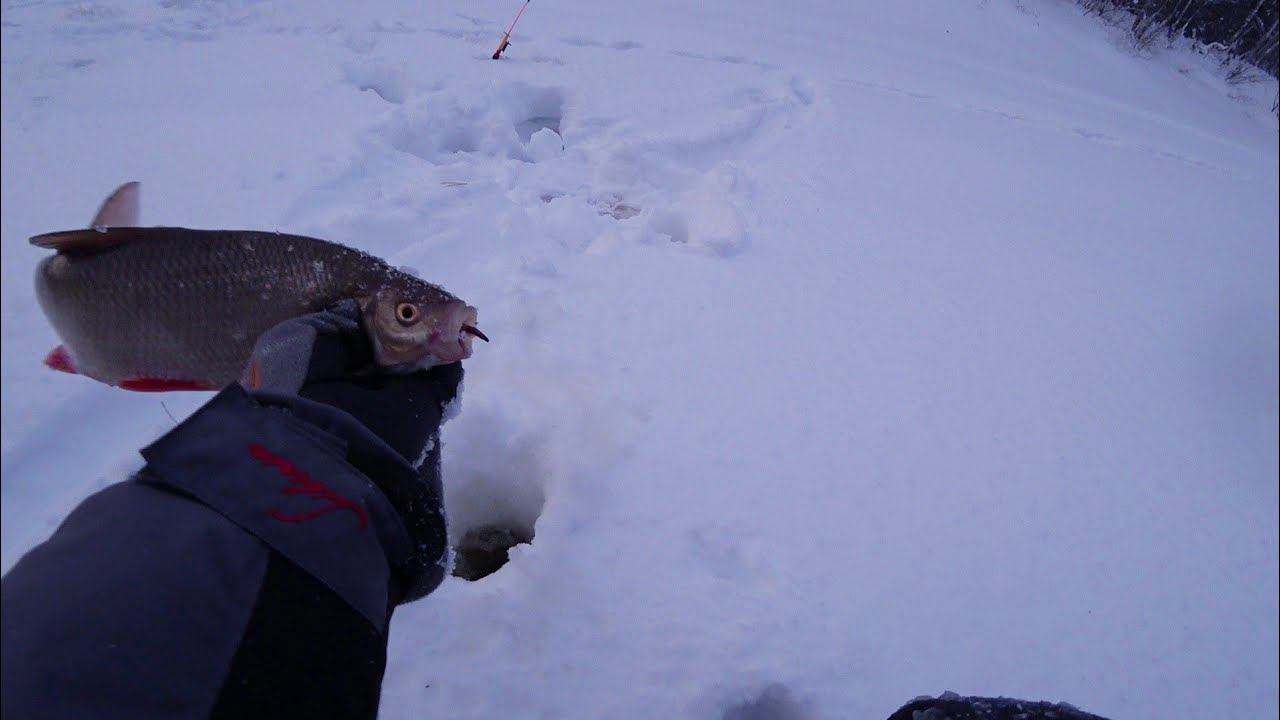 ТО НЕ УСПЕЛ ,ТО ОПОЗДАЛ НО ВСЕ ТАКИ ЯЗЯ СВОЕГО ПОЙМАЛ))).ЗИМНЯЯ РЫБАЛКА 2021. смотреть онлайн