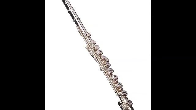 Best Yamaha YFL 222 Intermediate Flute for Student Reviews смотреть онлайн