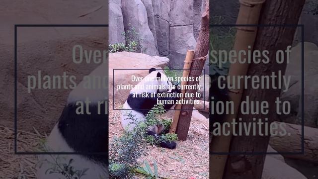 Environmental Facts Part 03 смотреть онлайн