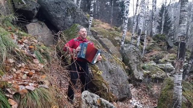 Гуляли до Зари!Эх,девчонку мою под венец увели!#алтай #гармонь #тенор смотреть онлайн