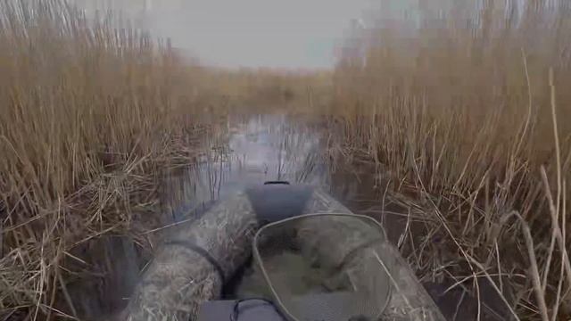 РЫБАЛКА В АСТАНЕ НА КАРАСЯ ХОРОШИЙ КЛЕВ КАРАСЯ #рыбалкаастана #рыбалка #карась #карасьвесной смотреть онлайн