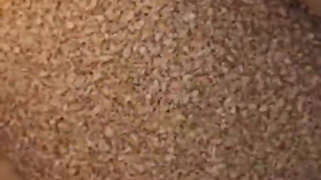 Отруби овсяные, Дивинка, 400 г смотреть онлайн