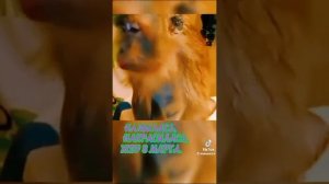 VID-20240307-WA0000.mp4