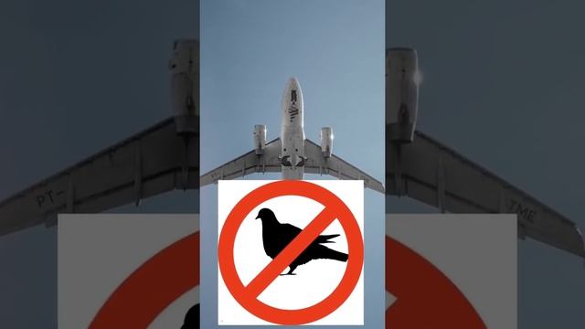 СЕКРЕТЫ ПОЛЁТА О КОТОРЫХ НИКОГДА НЕ РАССКАЗЫВАЮТ ПАССАЖИРАМ смотреть онлайн