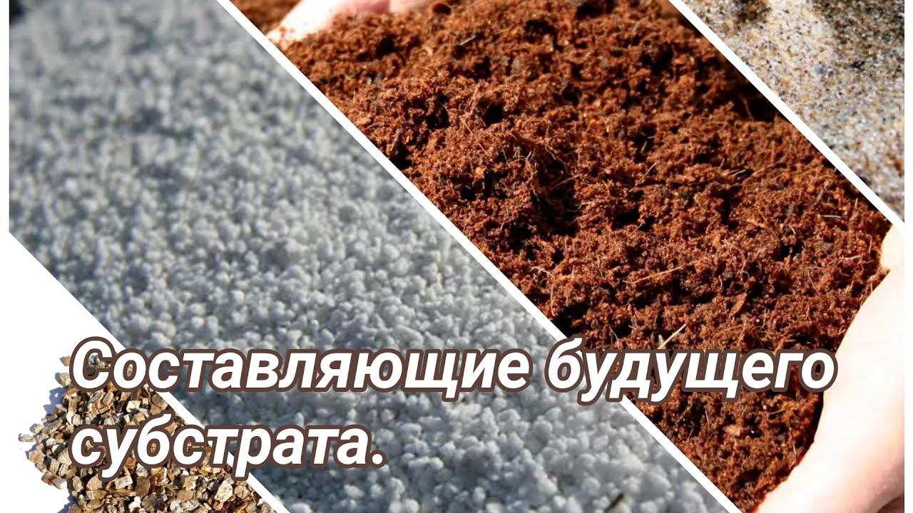 Обзор составляющих будущего субстрата. смотреть онлайн