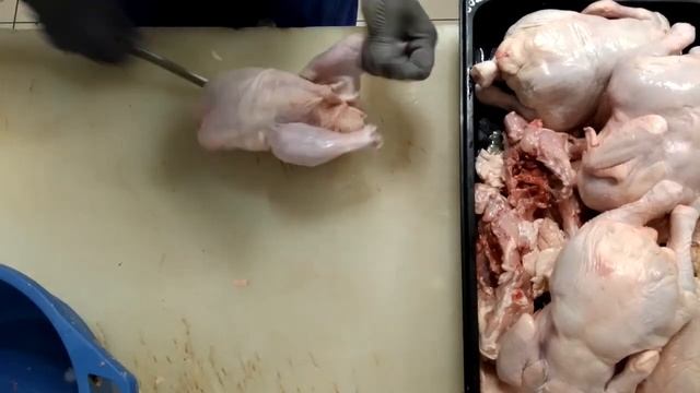 Финка сучком сталь х12мф в работе смотреть онлайн