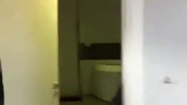 Крематор для животных смотреть онлайн