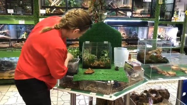 ? Мастер класс по оформлению аквариума для крабов с живыми смотреть онлайн