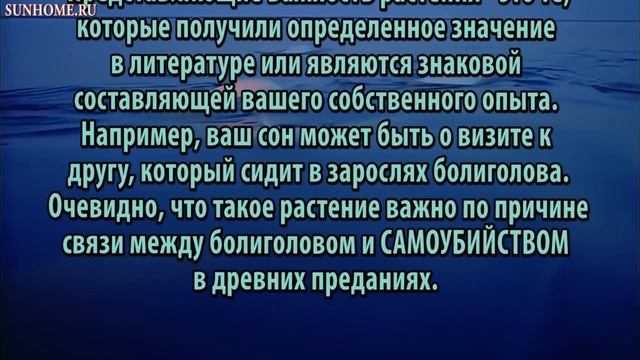 К чему снятся Растения сонник, толкование сна смотреть онлайн