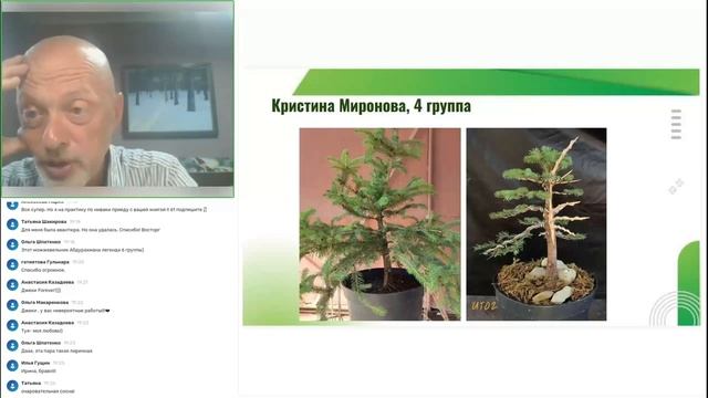 Азбука бонсай 2023: обзор работ выпускников смотреть онлайн