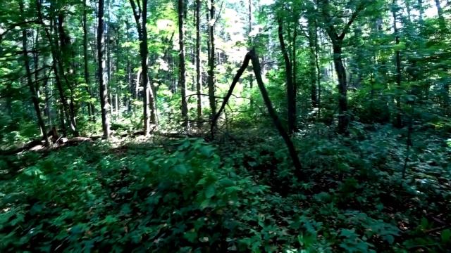 ПРОГУЛКА ПО ДЕРЕВНЕ ПРИЗРАК! Странный коп получился! Кладоискатель Руся. #31 смотреть онлайн