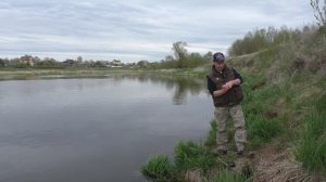 Рыбалка в проводку с берега.