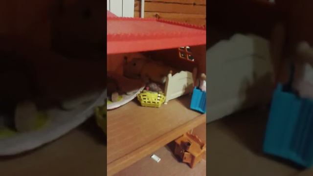 У мышки зоболел живот смотреть онлайн