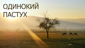 Одинокий пастух | Музыкальные паузы (авторское исполнение)