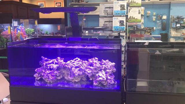 Cobalt Aquatics C-Vue and C-Ray LED rimless , trimless , low iron glass. смотреть онлайн