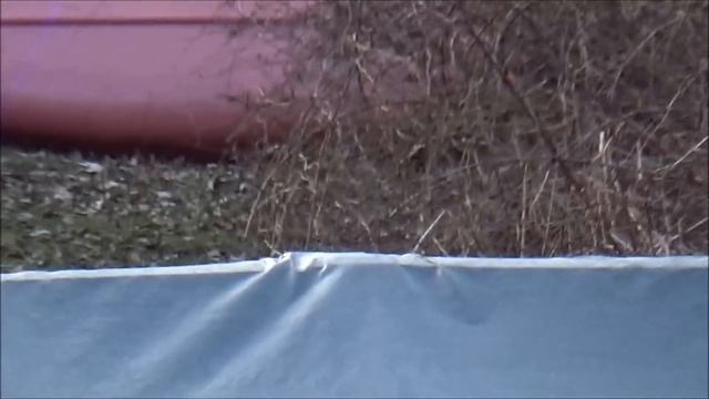 Wicked Lasers Spyder 3 Arctic 2 Watt 445nm Laser Pointer Review смотреть онлайн