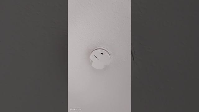 Германия. датчик пожарной сигнализации глючит или что с ним? кто из местных разбирается? смотреть онлайн