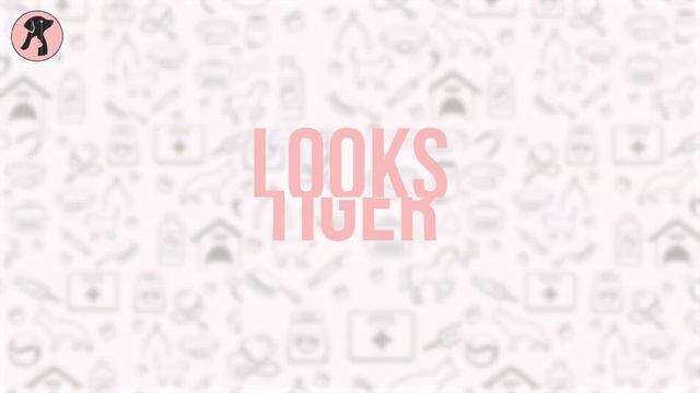 Why Ginger Cats Are Special? | Facts About Orangs Cats