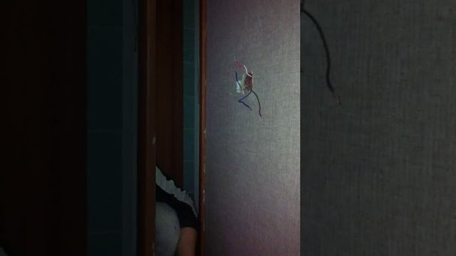 Бешеный электрик смотреть онлайн