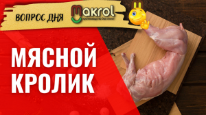 ?Какая порода кроликов лучше для уличного содержания Белый Великан, Паннон или БСС #Макляк  #Макрол