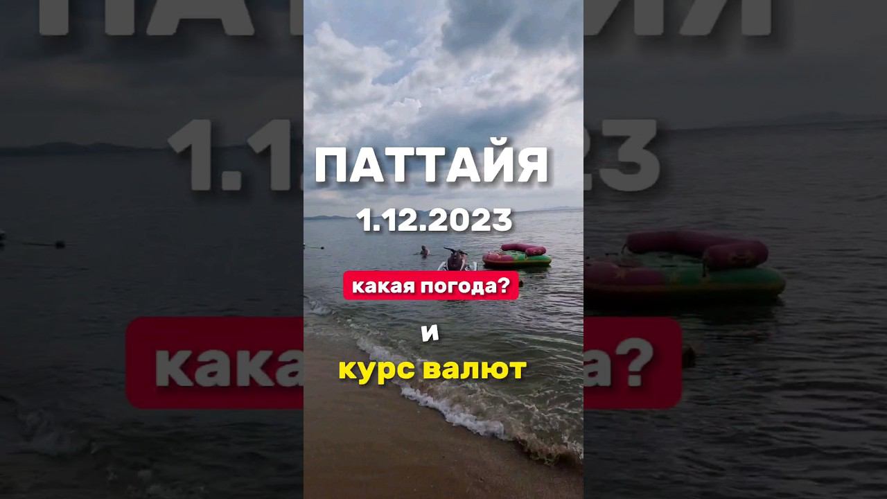 Ежедневные выпуски из Паттайи. Погода и курс бата в декабре. #экскурсиивпаттайеотзывы смотреть онлайн