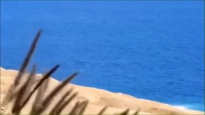 Для какой цели я создан? Рав Ашер Кушнир