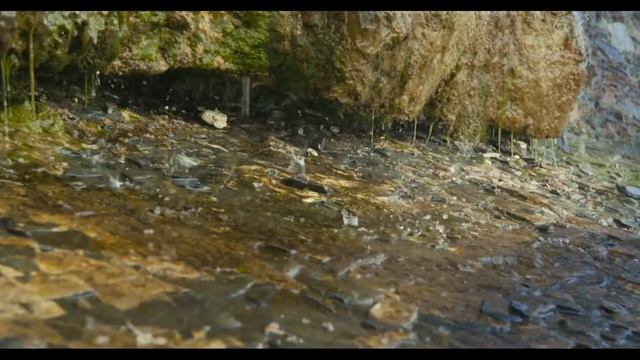 По Новороссийску и окрестностям. Утриш смотреть онлайн