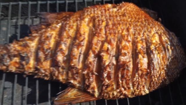 Вкуснейший ЛЕЩ горячего копчения!!! Как приготовить рыбу дома!!! #рыба #копченаярыба #лещь смотреть онлайн
